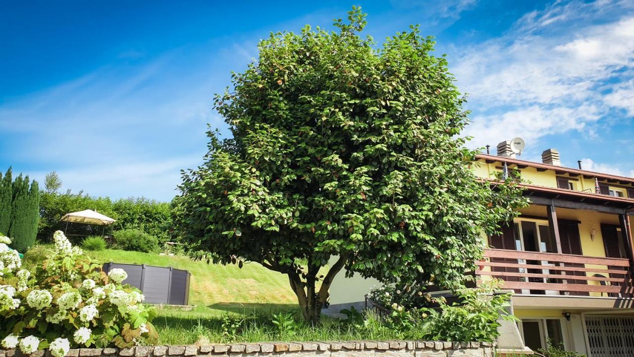 Gardenpark Soleil Villa Nebbiuno Esterno foto